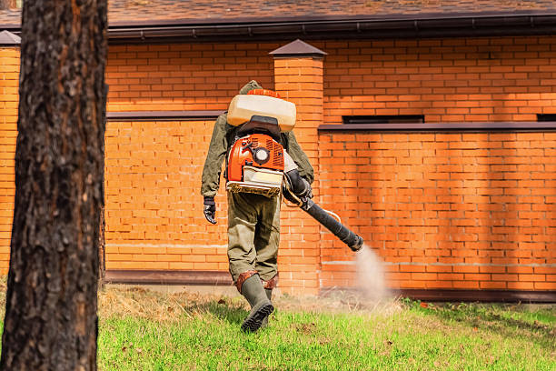 Bed Bug Clearance Verification and Documentation in Martins Ferry
